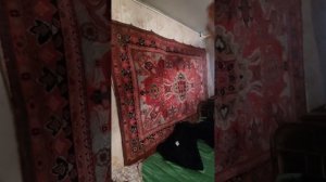 Продается дом в с. Никитовка, Красногвардейского района Белгородской области. Тел 891000309077