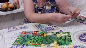 Какие огурцы я буду сажать в следующем сезоне