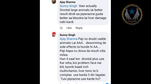 कबूतर के पेट से कीड़े कैसे निकाले || Drontal Plus और Hitek लगाने सही तरीका 100%Result👍👌जानिए कैसे द смотреть онлайн