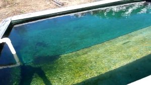 Жизнь. Камчатка. Термальный источник РАН