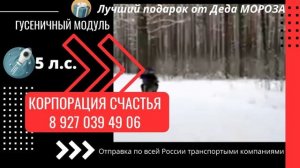 гусеничный модуль