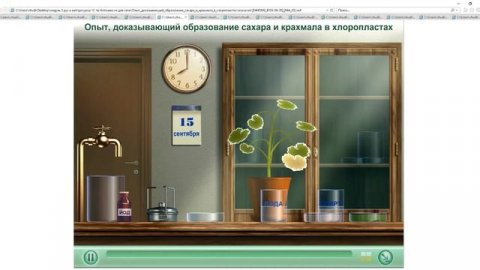 Опыт, показывающий образование сахара и крахмала в хлоропластах