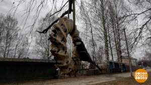 Птички, кушать подано! Доброе утро. Фрагмент выпуска от 02.12.2024