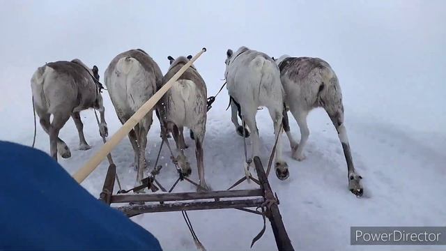 пудана сэротетто смотреть онлайн