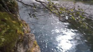 АГАФЬЯ ЛЫКОВА ЖДЁТ, ПОХОД К ОТШЕЛЬНИЦЕ, ОДИН В ЛЕСУ.