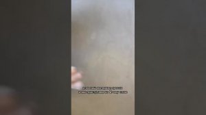 Pelle. Нанесение, подробное описание.