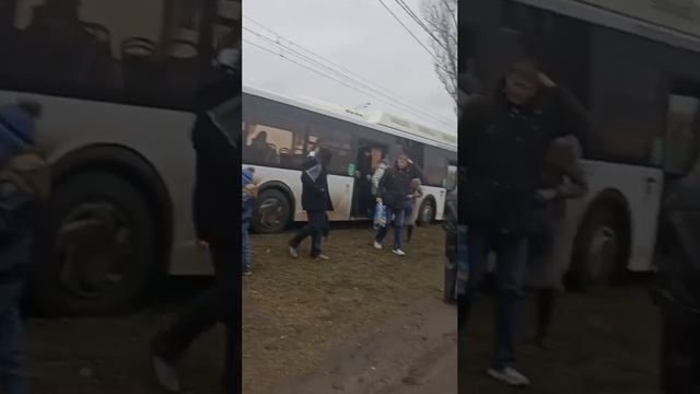 На Чернавском мосту автобус №21 врезался в дерево: два человека пострадали. 🙊