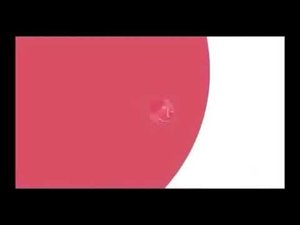 Заставка LG