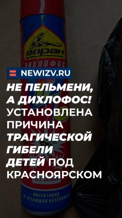 Не пельмени, а дихлофос! Установлена причина трагической гибели детей под Красноярском