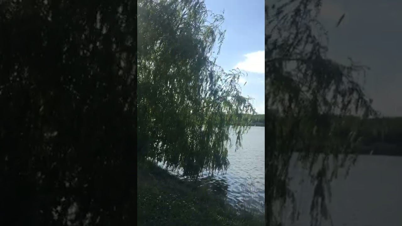 Платный пруд в Саратове. А че? Люди то богатые там живут. В Подмосковье 11 бесплатных чистых пляжей смотреть онлайн