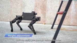 Raspberry Pi 4B Quadruped Robot Dog Toy | Electronic Dog 12-DOF Bionic Robot