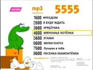 Реклама 5555 код 1600 (BRIDGE TV, 2007) (15)