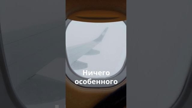 Удивительное рядом #удивительноерядом #полёт #поучительныеистории #юмор #shorts