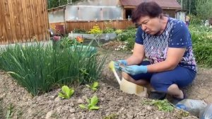 ИЗБАВЛЯЕМСЯ ОТ КРЕСТОЦВЕТНОЙ БЛОШКИ