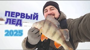 ПЕРВЫЙ ЛЕД 2024-2025. Лифтуем окуня!