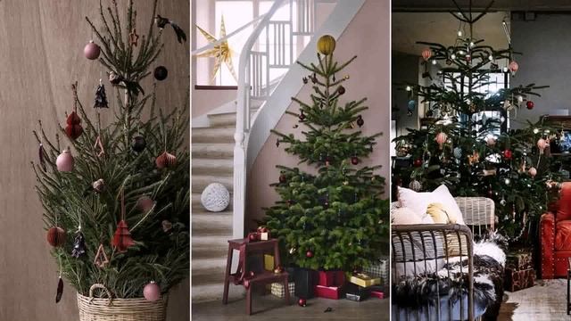 Ideas Creativas Como Decorar Con Ramas смотреть онлайн