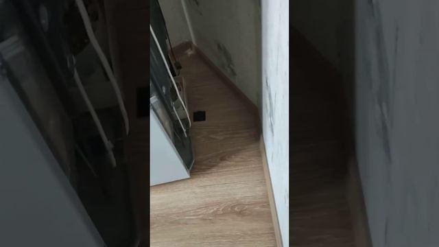 ЧТОБЫ ТРАВИТЬ ТАРАКАНОВ, НАДО ПРАВИЛЬНО ПОДГОТОВИТЬ КВАРТИРУ ПЕРЕД ОБРАБОТКОЙ смотреть онлайн