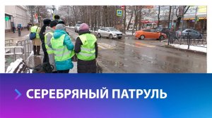 В Ставрополе прошел профилактический рейд для пешеходов страршего возраста