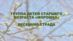 Весенняя страда