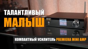 Талантливый малыш: обзор усилителя-стримера Premiera Mini Amp