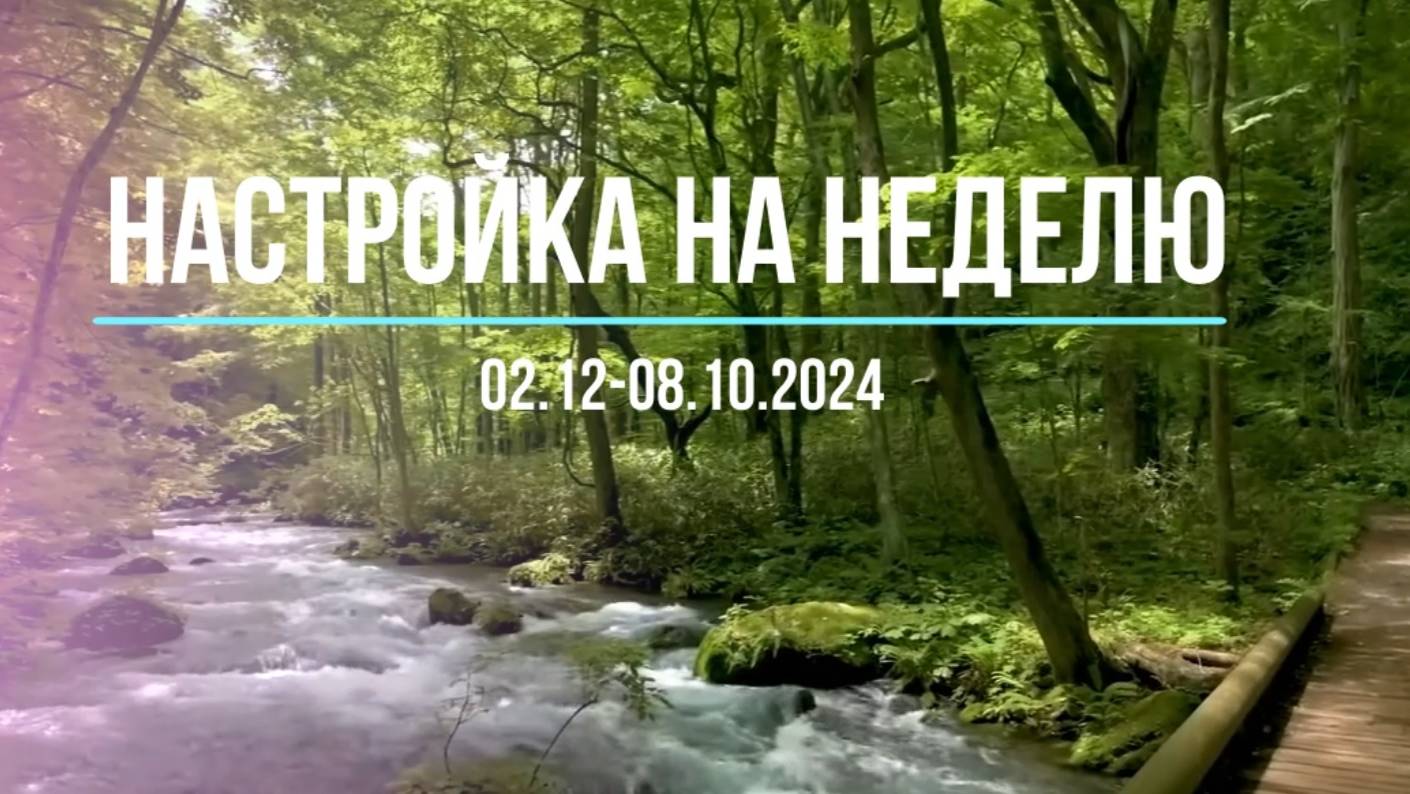 Настройка на неделю 2-8.12.2024 #психология #осознанность