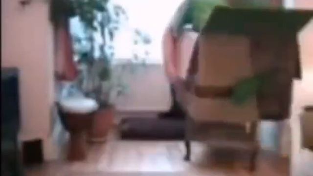сигма верталётик