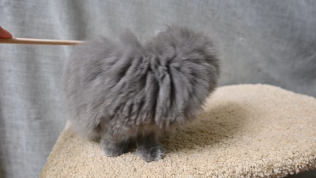 DSC_0044 смотреть онлайн