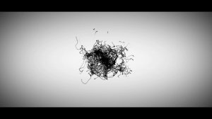 Разработка логотипа для сувенирной компании DARVIN