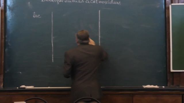 Нетрусов А. И. - Микробиология I - Cероредукторы. "Железные" бактерии