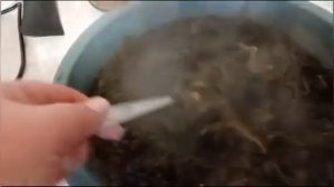 АРМЯНСКИЙ СУП АВЕЛУК / АРМЯНСКИЙ СУП ИЗ КОНСКОГО ЩАВЕЛЯ