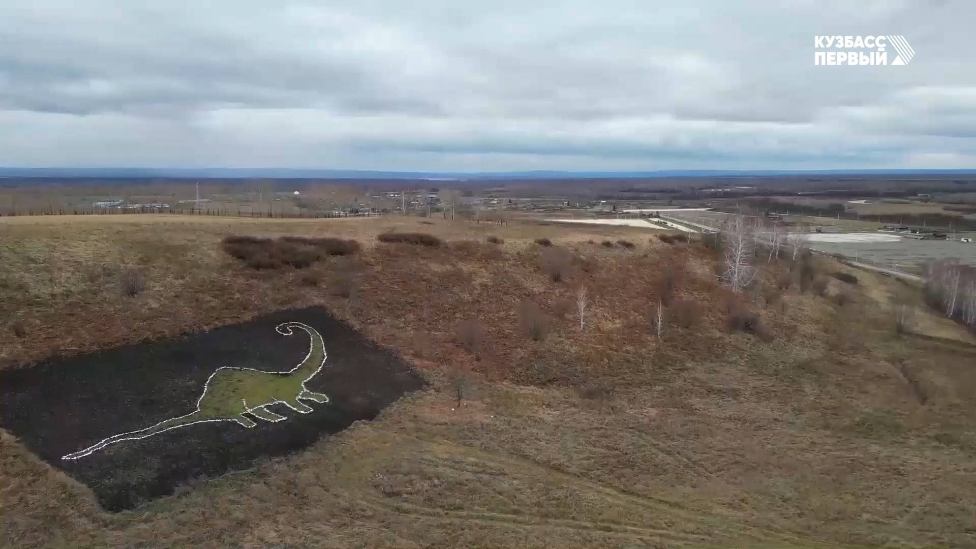 Дикий краевед. Тисульская красавица