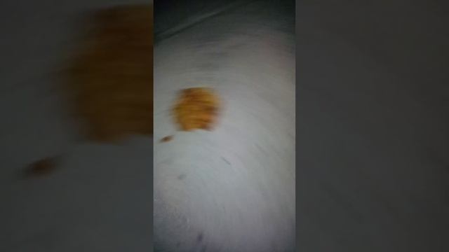 Buyers beware of Purina Dog Chow,  my dogs got sick. смотреть онлайн