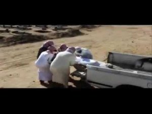 Uzbekcha nashida uzbek nasheed