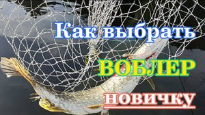 Выбор воблера для новичков