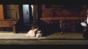 Fatboy Slim   Wonderful Night 2004