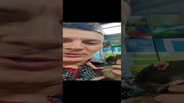 КАЖЕТСЯ Я ВЛЮБИЛСЯ 🐭