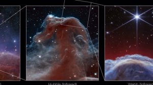 Уэбб запечатлел культовую туманность Конская Голова в беспрецедентных деталях