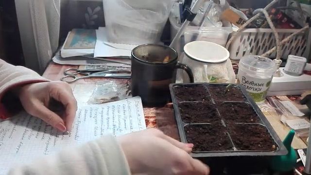 Мой детский сад / Жизнь в селе. смотреть онлайн