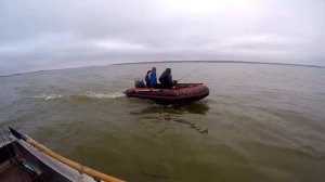 Встреча на Эльбе