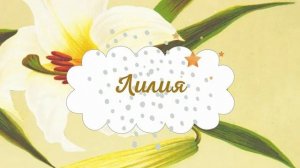 Анна Саксе - "Сказки о цветах". "Лилия"