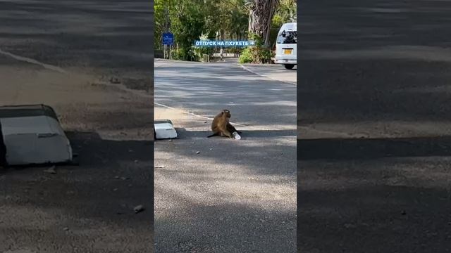 Отпуск на Пхукете