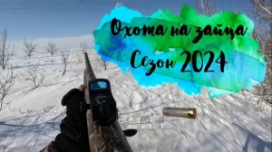 Охота на зайца! Коллиматорный прицел спас зайца!)))))
