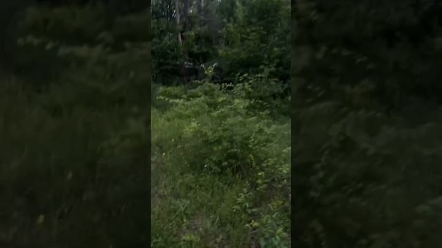 Надежда Головнева. Не плач душа… #мудрыеслова #стихи #поэзия21век