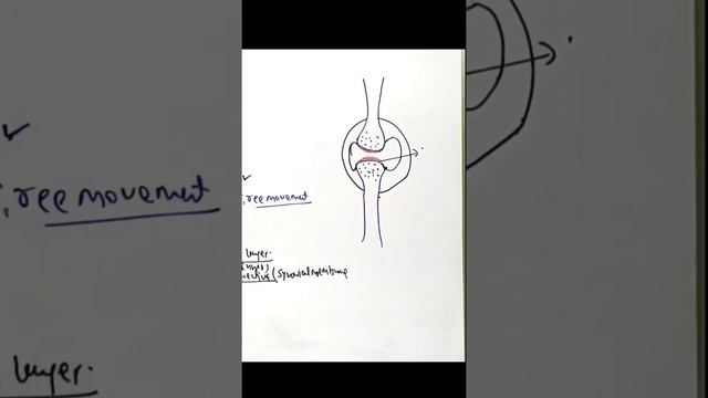 #synovialjoint #chandanmlt смотреть онлайн