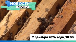 Новости Алтайского края 2 декабря 2024 года, выпуск в 10:00