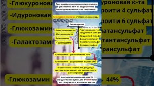 Хондропротекторы