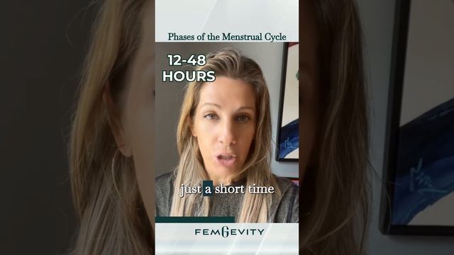 The menstrual cycle four phases смотреть онлайн