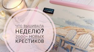 Продвижения за неделю | Вышито больше 2000 крестиков | Вышивка крестом