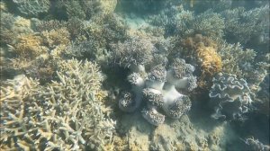 The Whitsundays & Great Barrier Reef