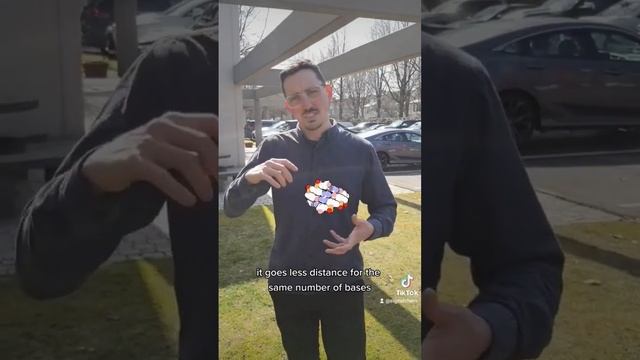 What's the difference between DNA and RNA? смотреть онлайн